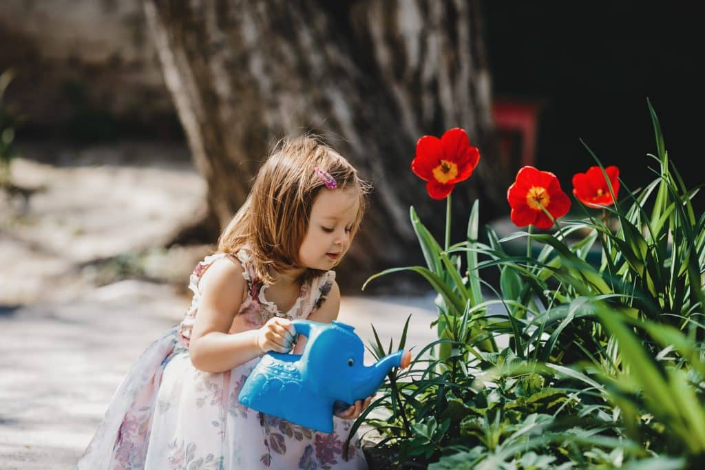 charming little girl takes care about flowers garden